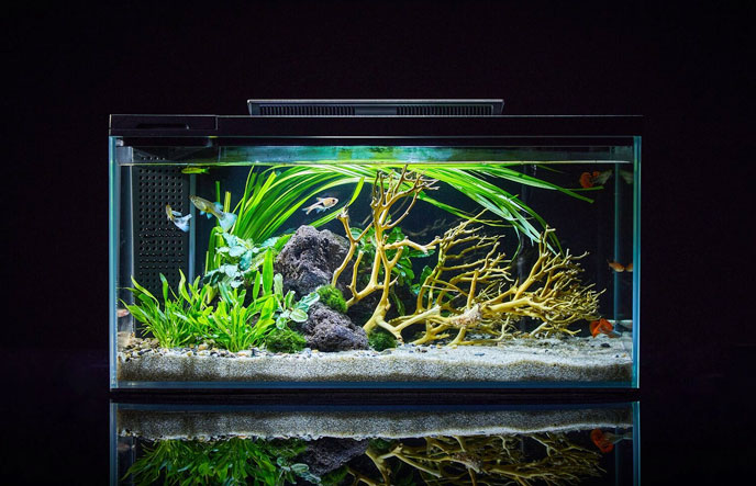 魚缸智能補(bǔ)水-液位傳感器-液體開關(guān)-傾倒開關(guān)廠家